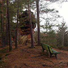 IMG 20190116 133826006